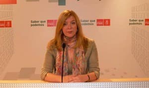 El PSOE denuncia que los engaños del PP a Villoslada provocan su dimisión