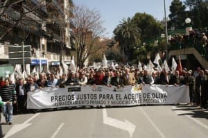 Más de 12.000 olivareros piden en Jaén “Precios justos para el aceite de oliva” y “Almacenamiento privado y negociación de precios ¡Ya!”