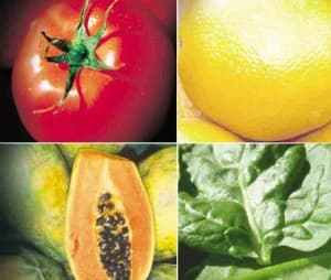 El paro agrario, el que más aumentó en marzo