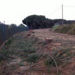 ¿Donde están los ecologistas y Verdes cuando realmente se les necesita?