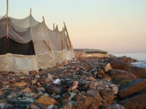 El TSJA paraliza la demolición de los invernaderos de La Rábita