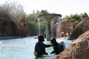 La Costa Tropical de Granada celebra el V día del Campista