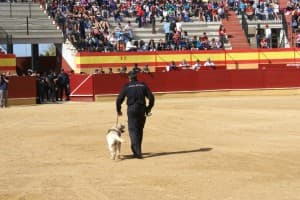 Escolares motrileños conocen de cerca “la gran labor” de la Policía Nacional