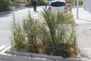 Vecinos del barrio del Varadero claman por un plan de limpieza y desinfección
