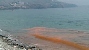 Las manchas roja anaranjada en el agua del mar no se deben a vertidos incontrolados sino a micro algas o desove de pescado