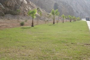 El Camino del Puntal de Carchuna-Calahonda luce ya como un nuevo espacio de jardines