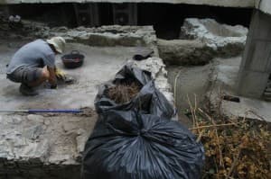 La Concejalía de Cultura sexitana lleva a cabo la limpieza y acondicionamiento de los restos arqueológicos romanos de la playa de Cotobro