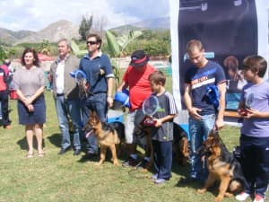 La exposición monográfica de perro pastor alemán en Motril se convierte en la más participativa de toda España