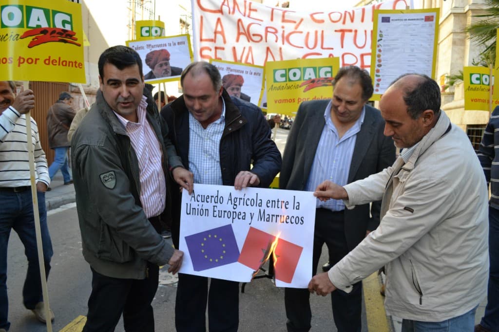 El Ministerio de Agricultura se la juega al sector y pretende convocar un Comité Hispano-Marroquí de frutas y hortalizas