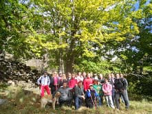Club El Sendero: andar por el castañar de Lanjarón