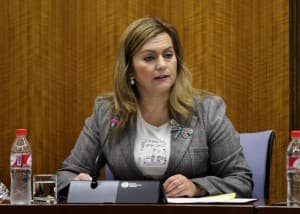 La Consejera de Medio Ambiente y Ordenación del Territorio justifica la ampliación del plazo de aprobación del Plan litoral
