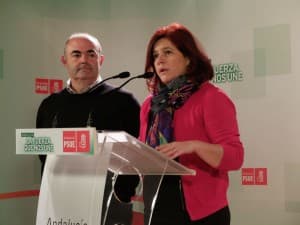 El PSOE exige a la ministra de Fomento que explique la marginación de Motril en las ayudas a las conexiones con Melilla