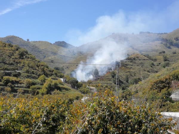 Sofocado un incendio de monte bajo en el Barranco de Gelibra, en el municipio de Jete