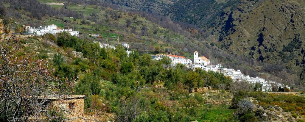 Detienen al propietario del cortijo donde aparecieron dos cadáveres