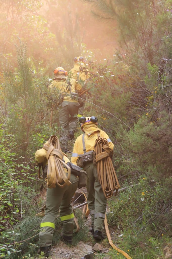 98 nuevas plazas para el dispositivo de prevención y extinción de incendios forestales