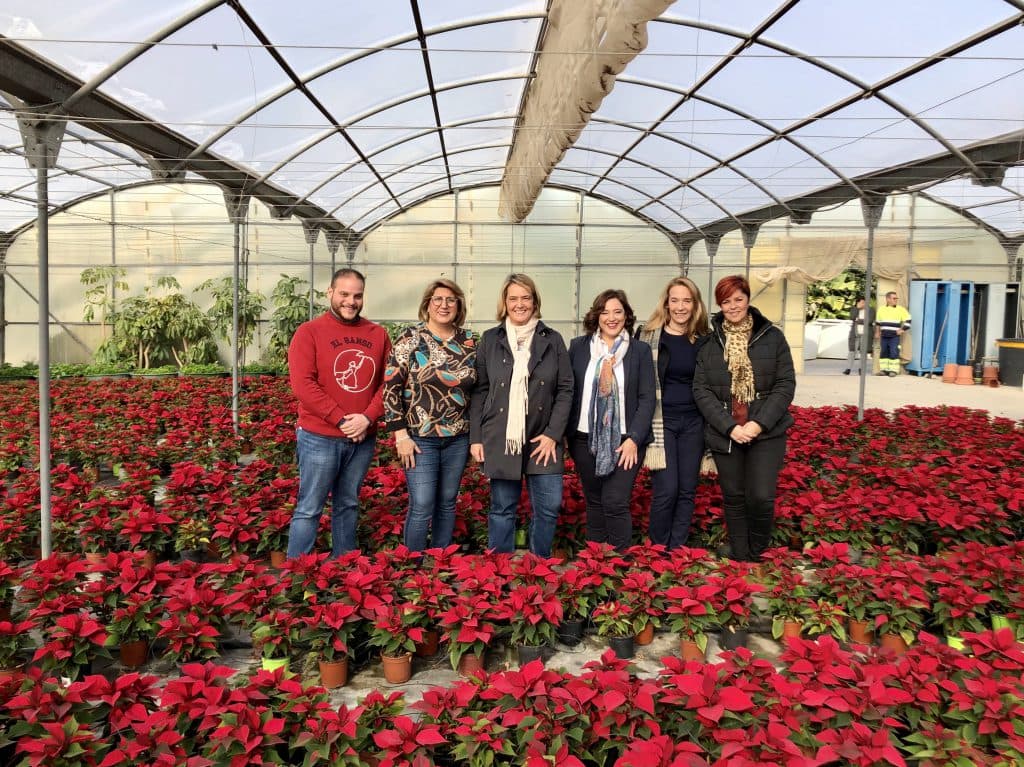 El Ayuntamiento de Motril plantará 4.500 pascueros en los parques y jardines de todo el término municipal