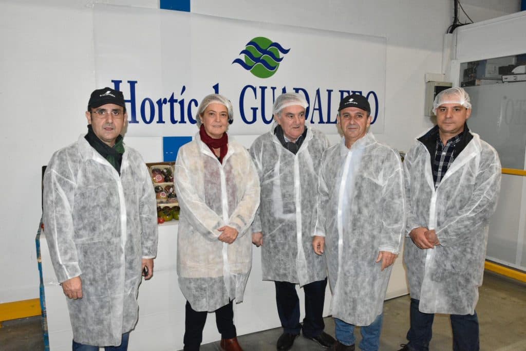 García Chamorro: «Animo a las empresas hortofrutícolas a combatir el paro de Motril de la mano del Ayuntamiento»