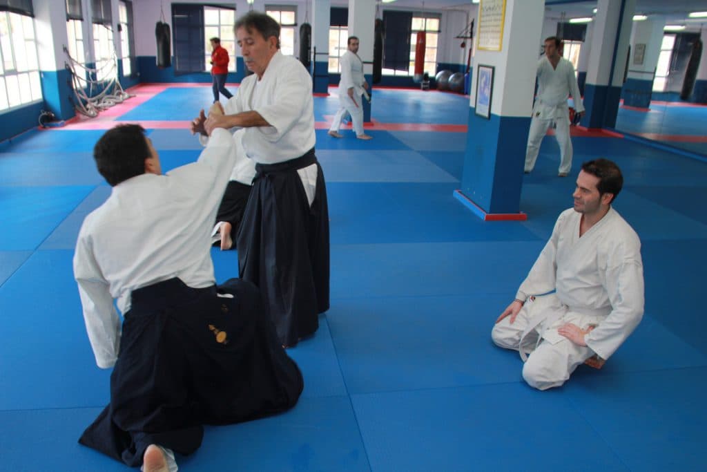El pabellón herradureño acoge este sábado una jornada formativa de aikido con grandes maestros