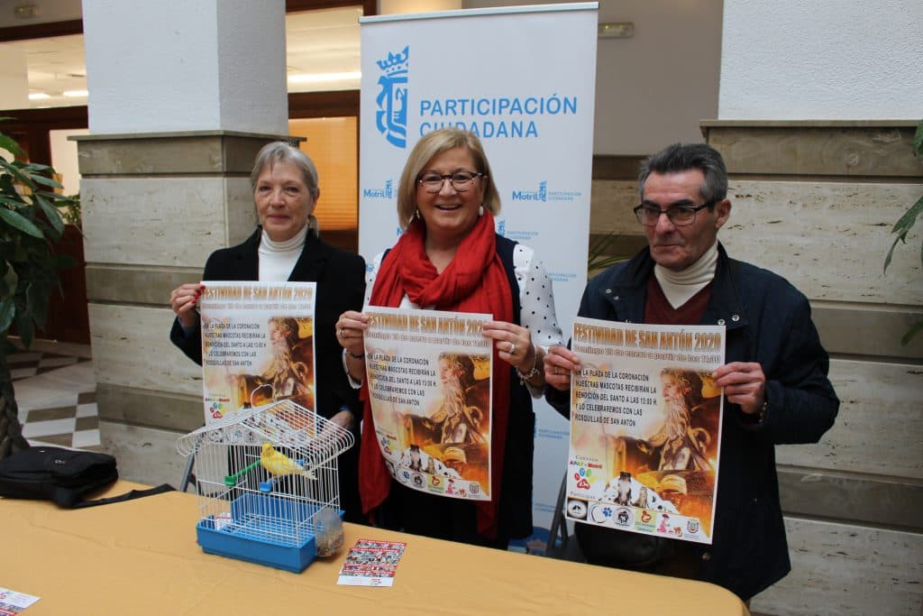 Las mascotas motrileñas tendrán su fiesta anual de San Antón el próximo domingo