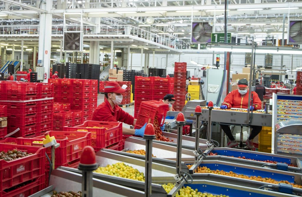 Cooperativa La Palma: «Comprometidos para que en ningún hogar falten frutas y hortalizas frescas»