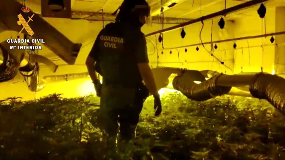 Descubren una plantación de marihuana en un cortijo de Órgiva