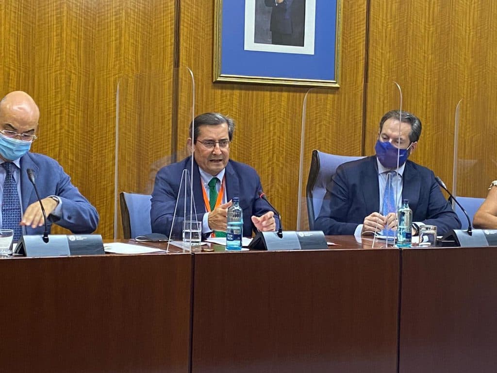 Entrena reivindica en el Parlamento andaluz el papel de las diputaciones contra la despoblación