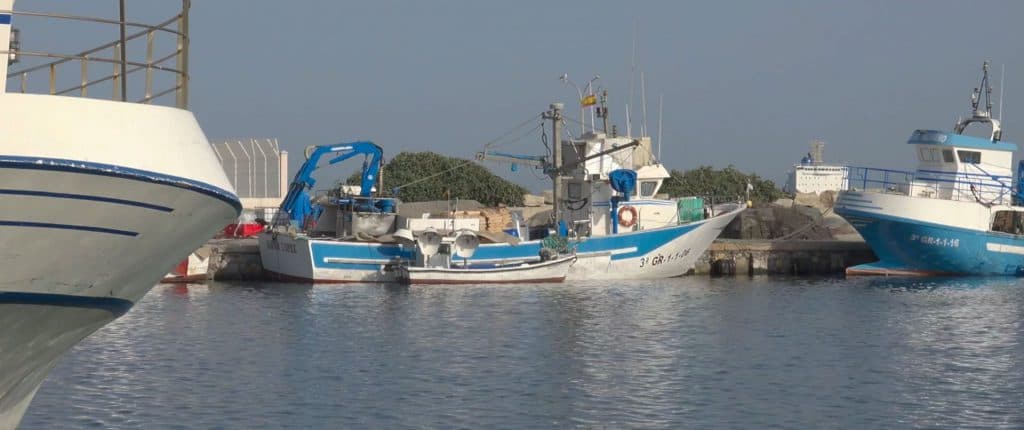 Andalucía pide la creación de un grupo de trabajo que garantice el futuro de la pesca del Mediterráneo