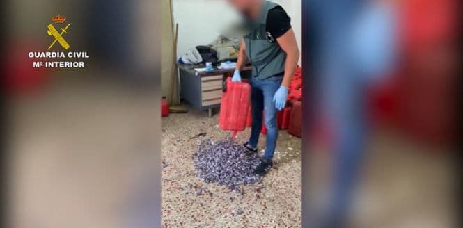 Narcotráfico en Motril: 7 personas detenidas e incautados 800 kilos de hachís