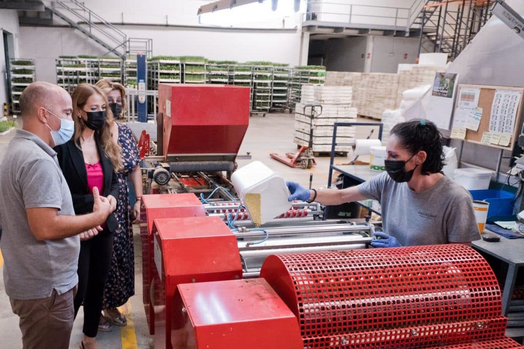 La Junta respalda el relevo generacional de Saliplant, una empresa que “cultiva el futuro” de más de 400 familias de la Costa granadina