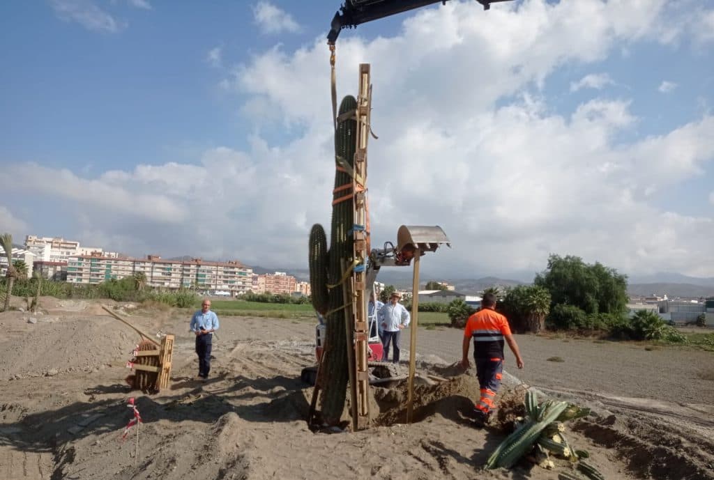 El jardín de cactus motrileño crecerá hasta los 10.000 metros cuadrados con una «colección única en España»