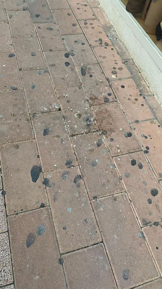 El PSOE lamenta que «la limpieza ya no luzca» ni en el centro de Motril