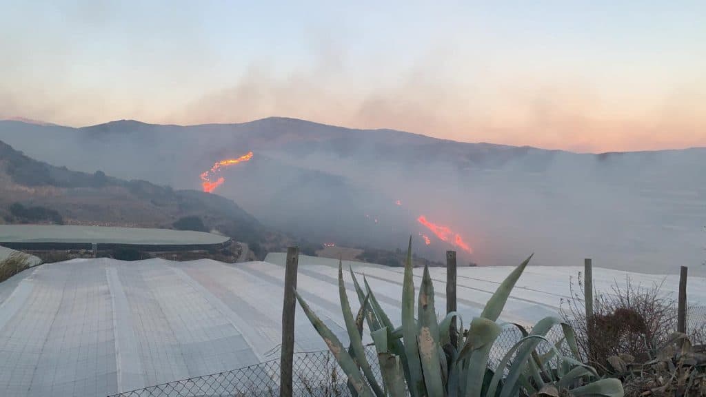 Autorizado el regreso de los desalojados en el incendio de Gualchos