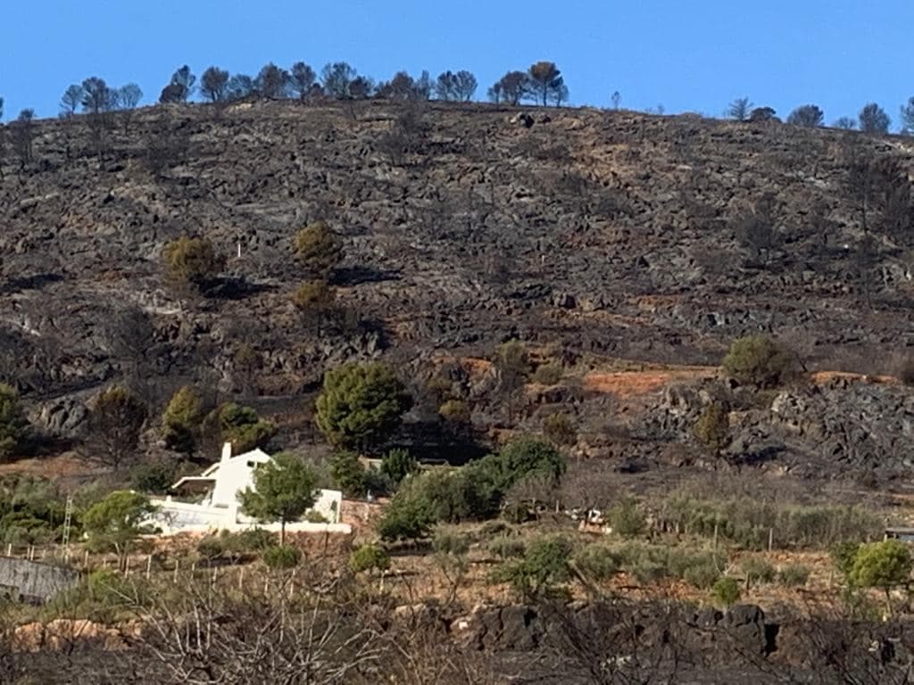 Desactivado el nivel 1 del Plan Infoca por el incendio de Gualchos
