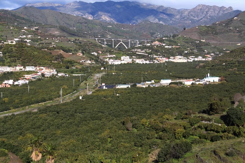 Agricultores de la costa advierten de pérdida de «miles de empleos» si no llega agua de riego pese a la sequía