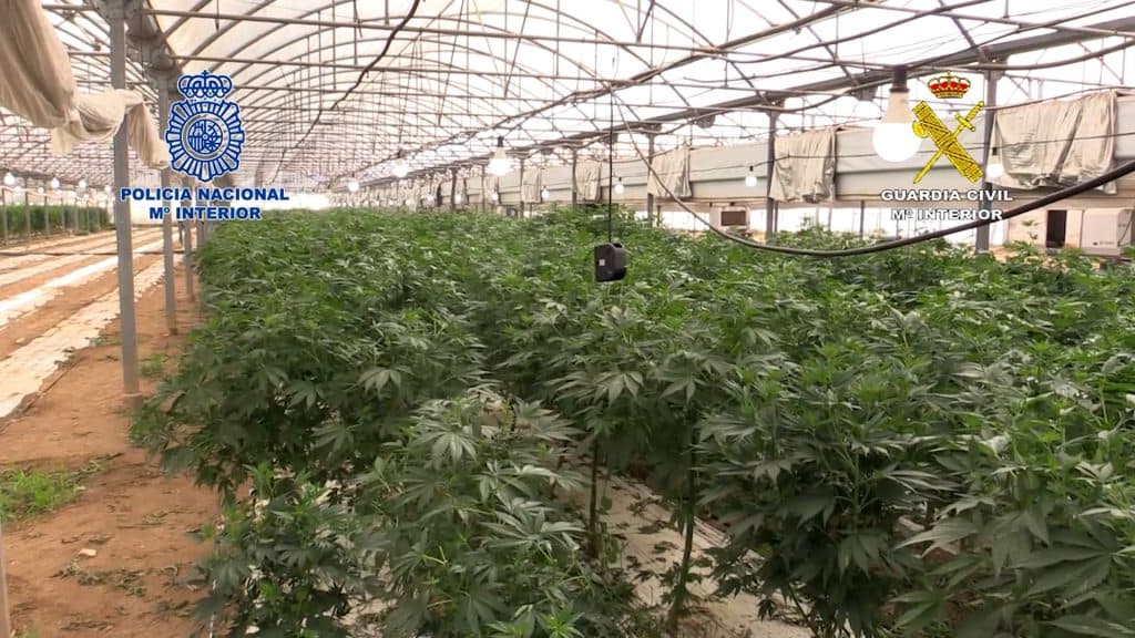 Aprehendido el mayor alijo de marihuana de España