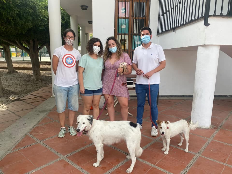 Campaña de vacunación antirrábica e identificación animal en Lobres