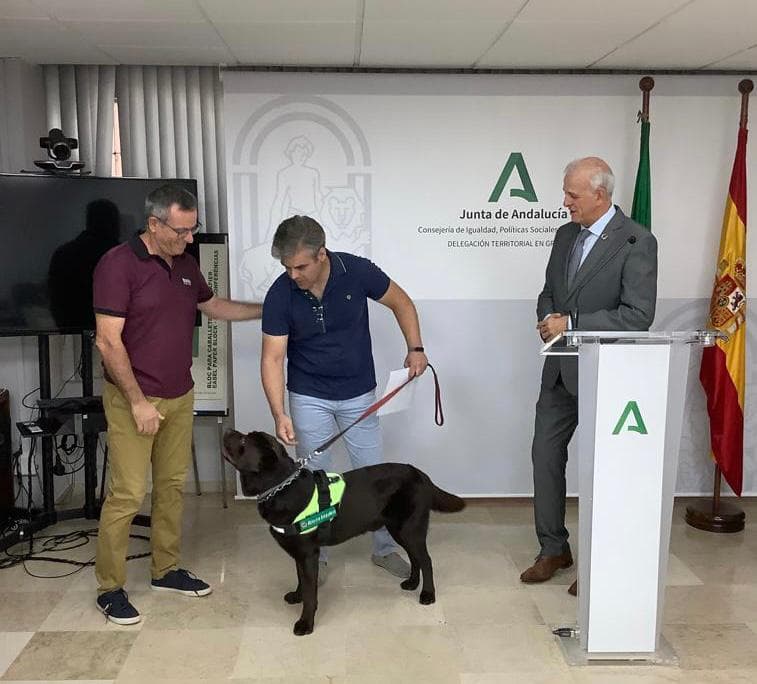 Reconocimiento oficial al primer perro de alerta médica de Andalucía