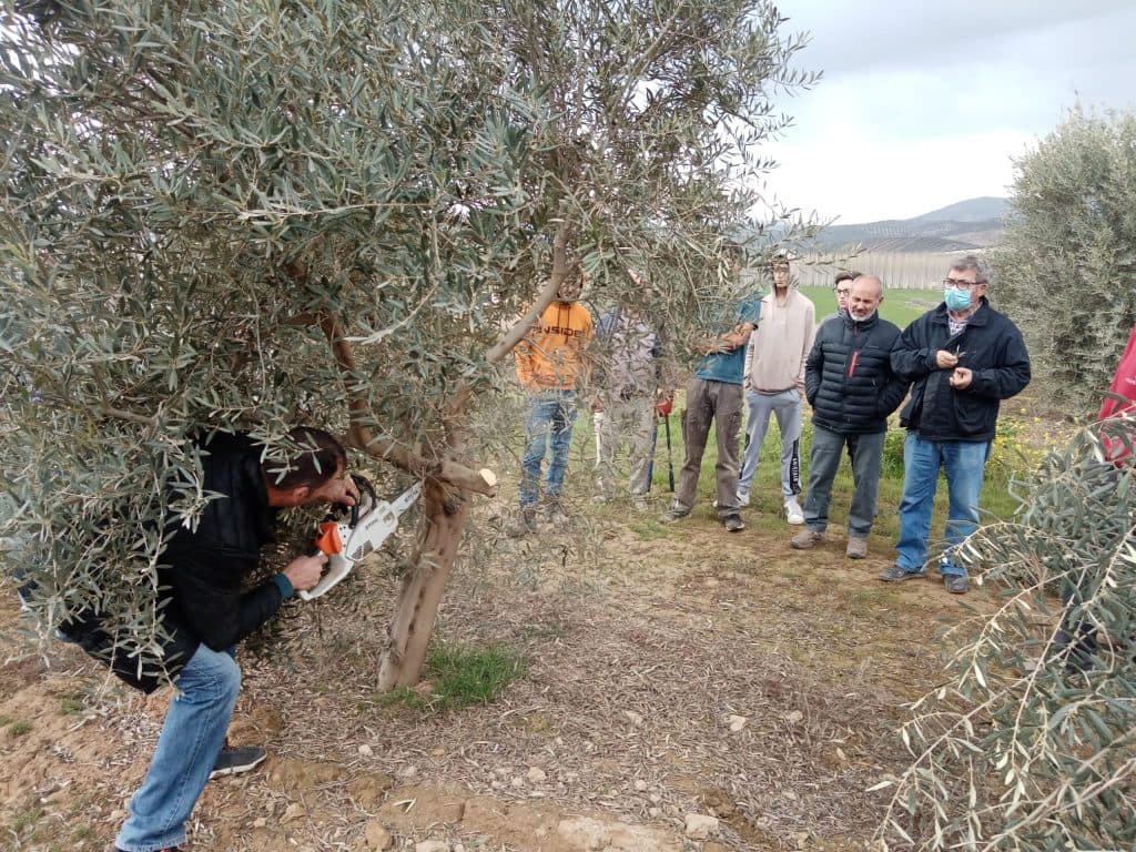 Formación práctica para los agricultores