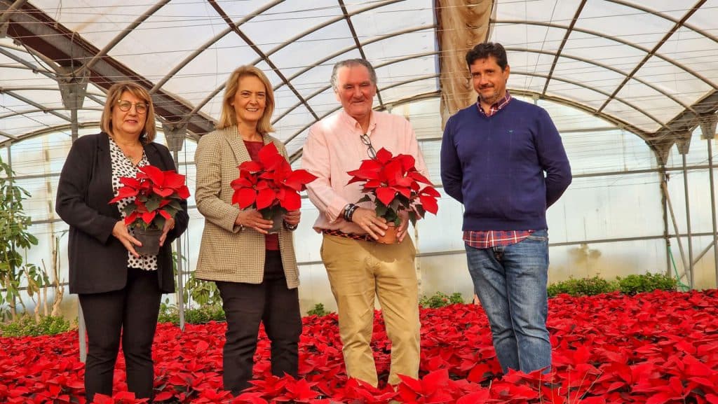 8.000 pascueros darán colorido a las calles motrileñas durante la Navidad