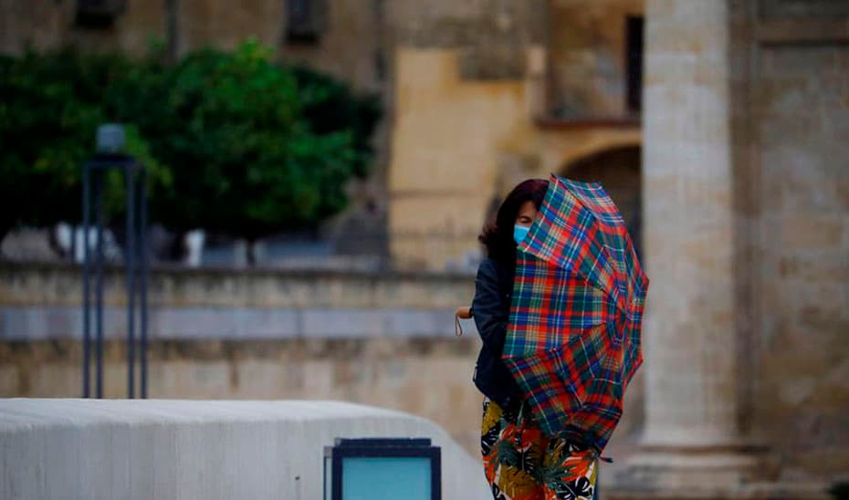 El 112 gestiona alrededor de 300 incidencias por el viento y la lluvia en Andalucía