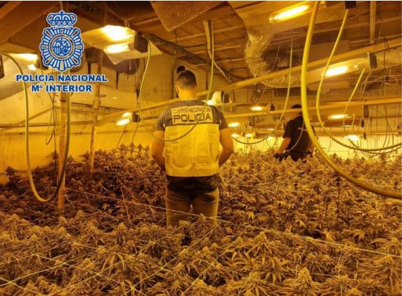 Encuentran una plantación de marihuana en un zulo excavado en un cortijo de Salobreña