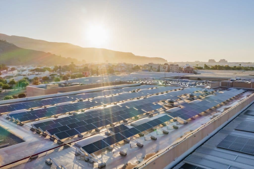 Cooperativa La Palma: Revolución alimentaria en Fruit Attraction 2023