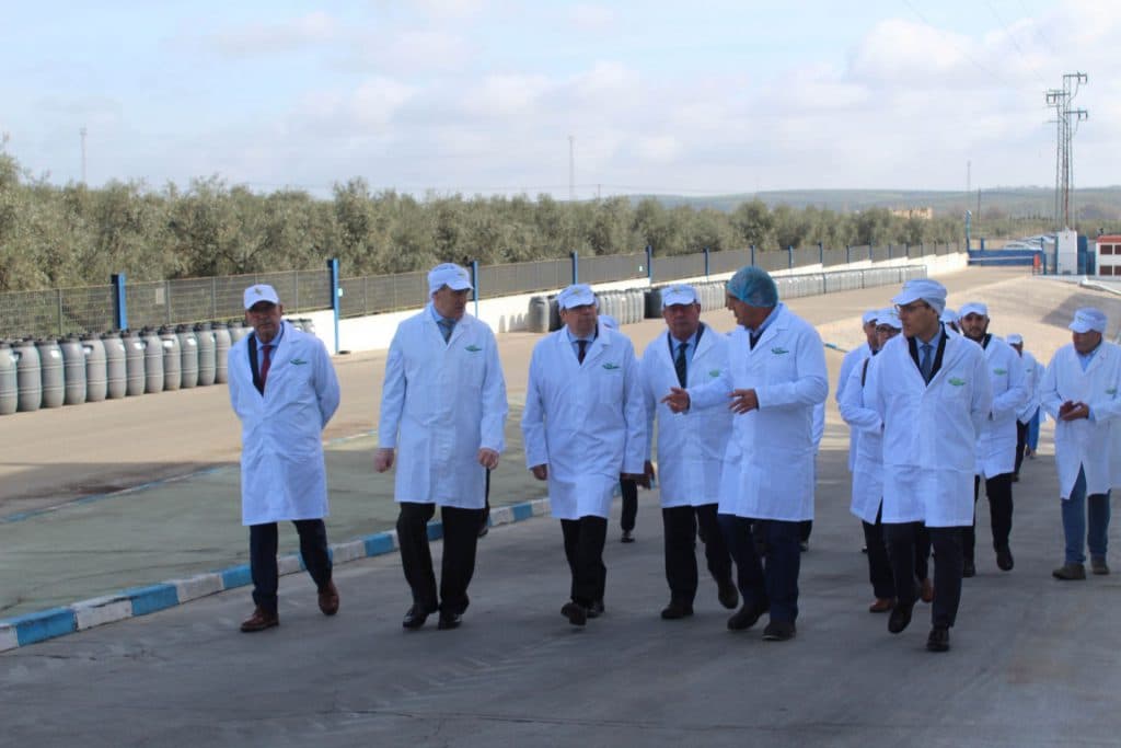 Cooperativas Agro-alimentarias de Andalucía insta a Luis Planas a trazar conjuntamente una hoja de ruta para velar por la competitividad de la aceituna de mesa