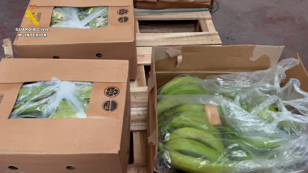 Detenidos por intentar introducir más de 6,5 toneladas de cocaína en contenedores de bananas por el puerto de Algeciras desde Sudamérica