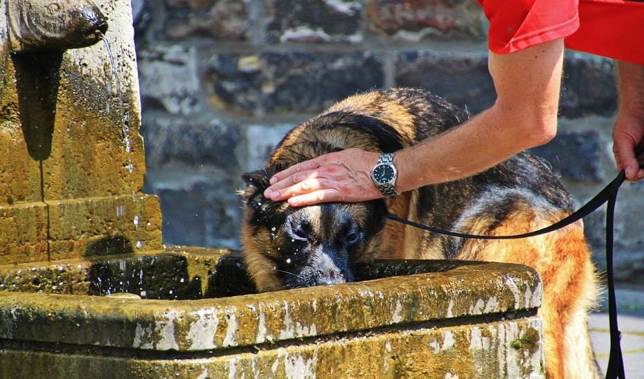 La Aemet activa este sábado aviso naranja por calor tres provincias andaluzas