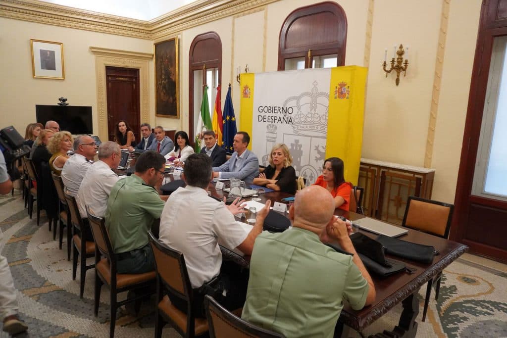 Fernández: “La violencia machista es un asunto de Estado y una cuestión de Derechos Humanos que debemos erradicar como país democrático”