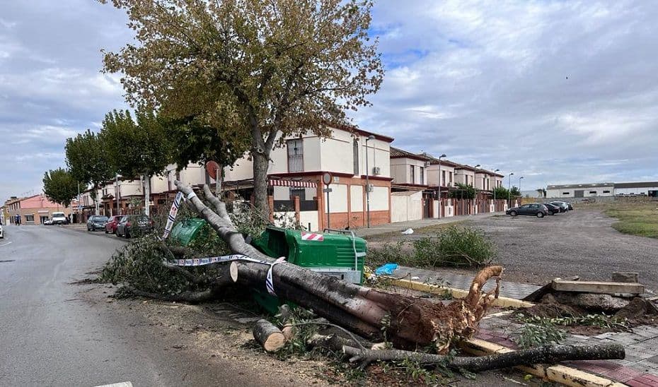 El 112 atiende más de 700 incidencias por el temporal viento entre las 7.00 y las 13.00 horas
