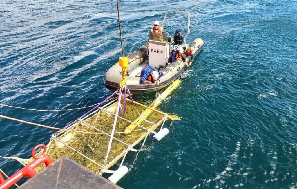Investigadores de la UGR descubren una masa de agua dulce en los fondos de la Costa Tropical granadina