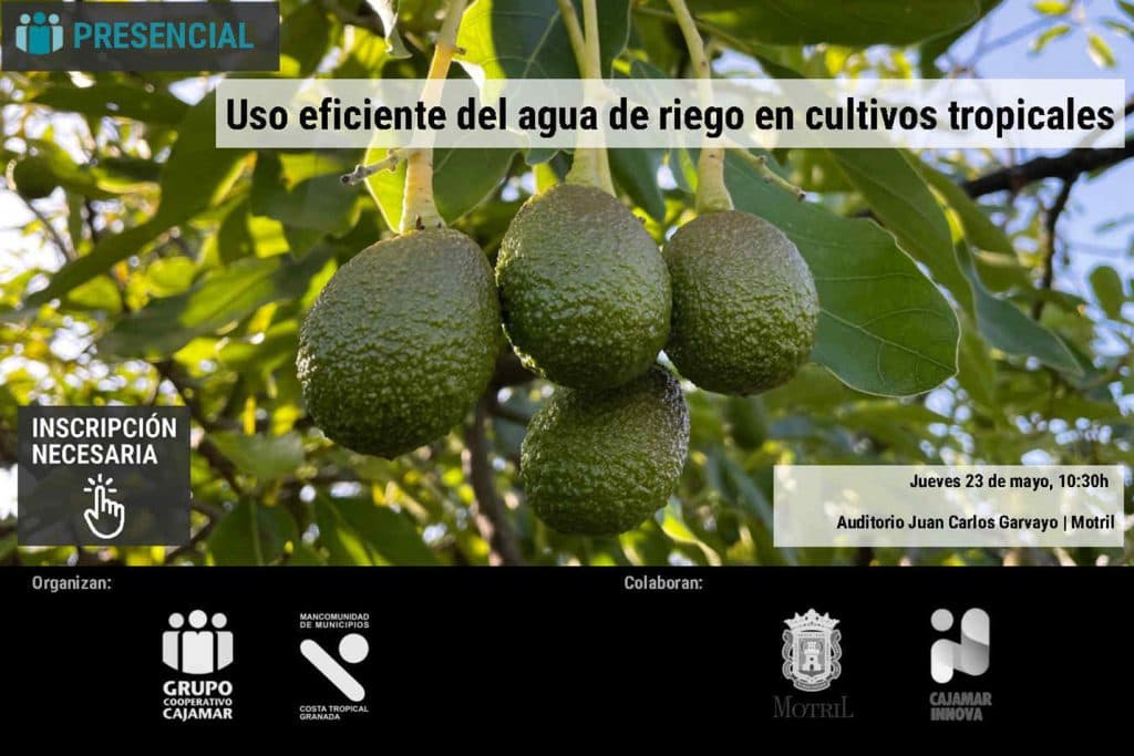 Organizan una jornada sobre el uso eficiente del agua en riego de cultivos subtropicales
