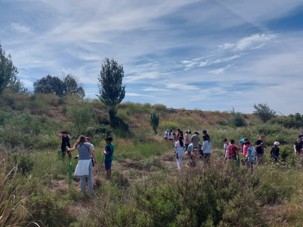 Finaliza el programa de reforestación educativa de medio ambiente en Salobreña